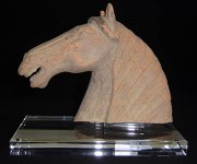 A horses head on a Acrylic platter