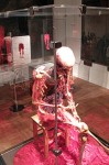 Human Skeleton in a large Acrylic box